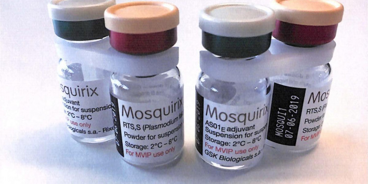 Por primera vez en la historia, la OMS recomendó una vacuna contra la malaria