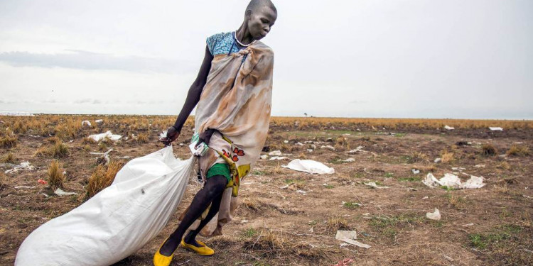 Luego de 10 años en baja, volvió a aumentar el hambre en el mundo