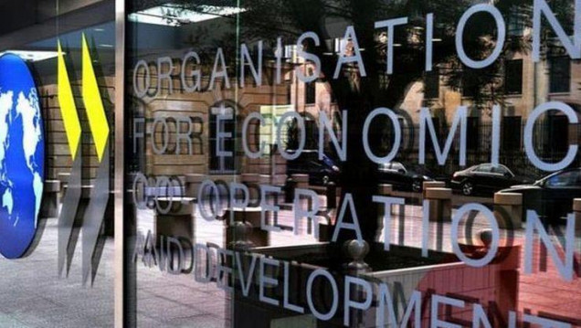 imagen La OCDE advirtió que la Argentina seguirá en recesión durante 2019