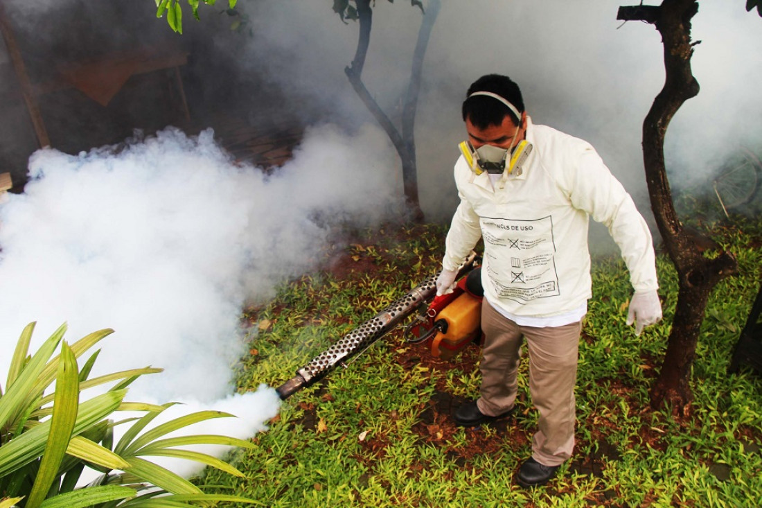 Chikungunya: la enfermedad que tiene en alerta a Paraguay y que ya llegó a territorio argentino