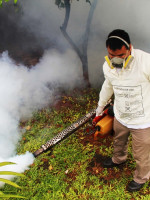 Chikungunya: la enfermedad que tiene en alerta a Paraguay y que ya llegó a territorio argentino