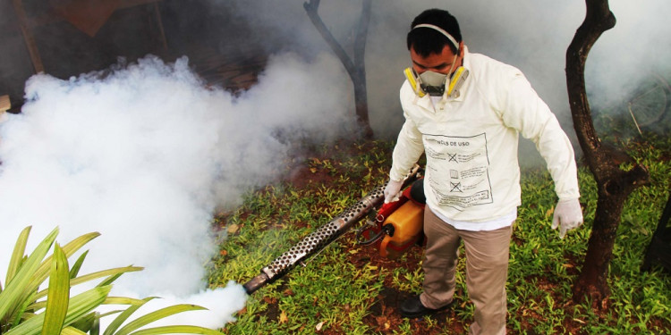 Chikungunya: la enfermedad que tiene en alerta a Paraguay y que ya llegó a territorio argentino