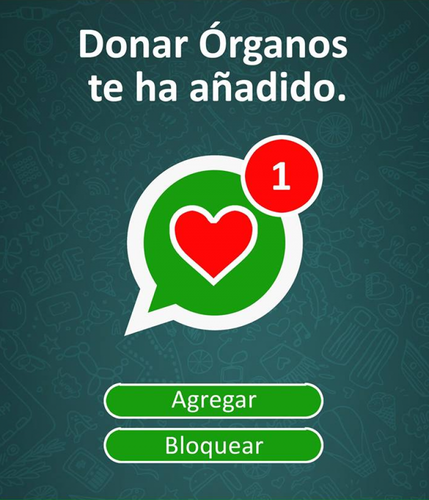 Paso a paso: cómo anotarte para donar tus órganos