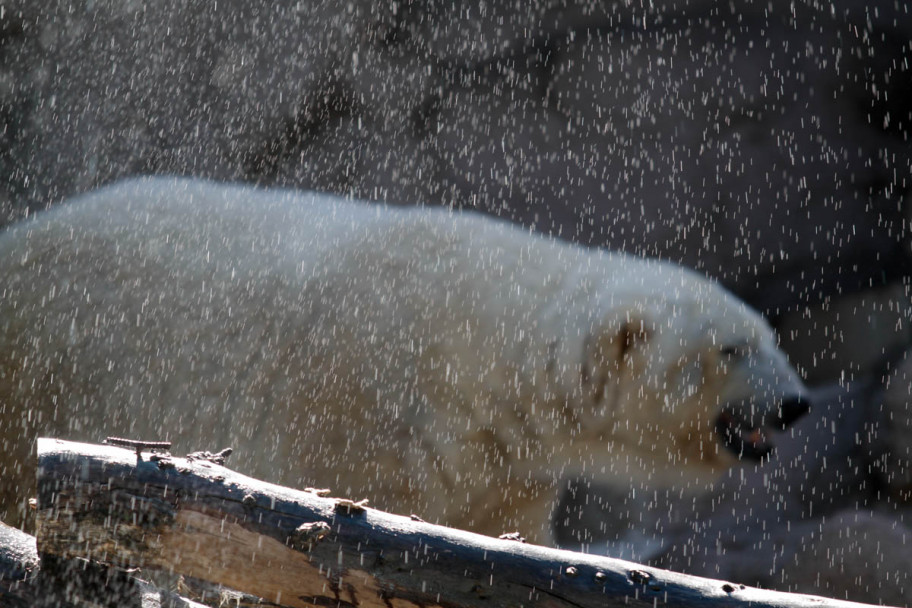 imagen Más solo que Arturo