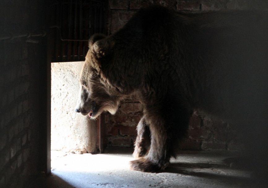 imagen Más solo que Arturo