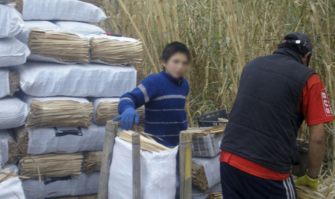 La situación del trabajo infantil en Mendoza