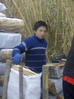 La situación del trabajo infantil en Mendoza