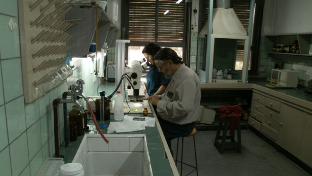 imagen El caracol centinela: curiosa investigación sobre la contaminación del agua 