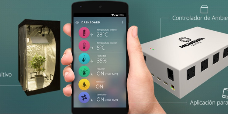 Pachamama, una app para monitorear el cultivo de plantas indoor
