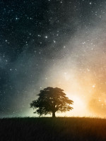 ¿Cómo pensamos que funciona el Universo?