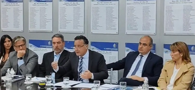 Adaro y Palermo consideraron que el proyecto que busca modificar la Corte local es antidemocrático