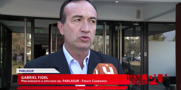 Gabriel Fidel presentó sus propuestas para el Parlasur