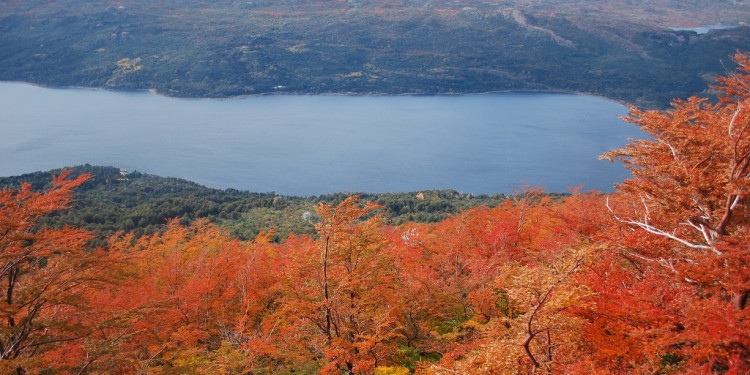 La Unesco declaró al parque Los Alerces como patrimonio de la humanidad