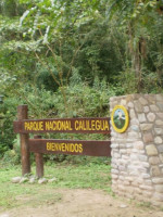 Chau a la explotación en el Parque Calilegua