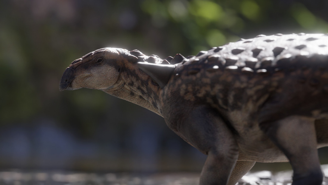 Descubren un nuevo dinosaurio acorazado que habitó en la Patagonia hace 70 millones de años