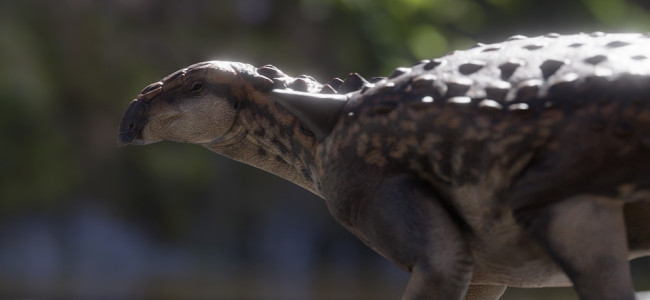 Descubren un nuevo dinosaurio acorazado que habitó en la Patagonia hace 70 millones de años