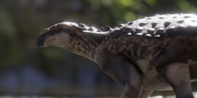 Descubren un nuevo dinosaurio acorazado que habitó en la Patagonia hace 70 millones de años