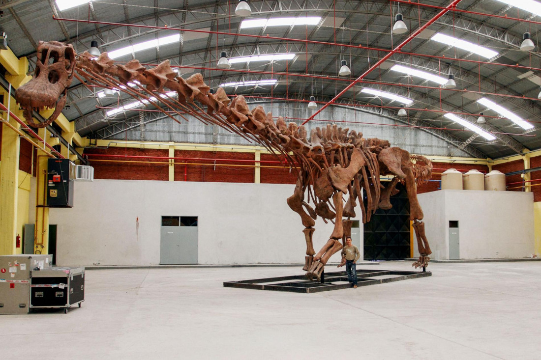 Con ustedes, Patagotitan Mayorum: el dinosaurio más grande que habitó el planeta