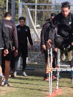 El Pato del parque