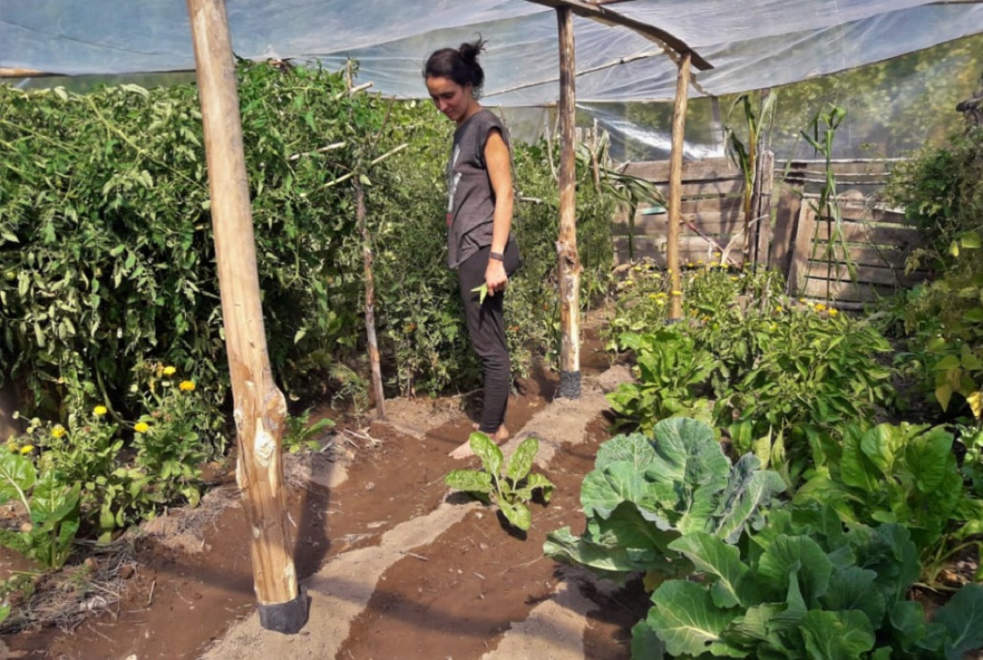 Historias de seis mujeres que protagonizan la nueva etapa del campo mendocino