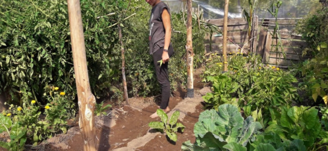 Historias de seis mujeres que protagonizan la nueva etapa del campo mendocino