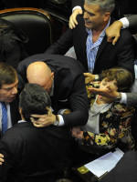 Recinto caliente: para Borsani, algunos diputados "fueron a voltear la sesión"