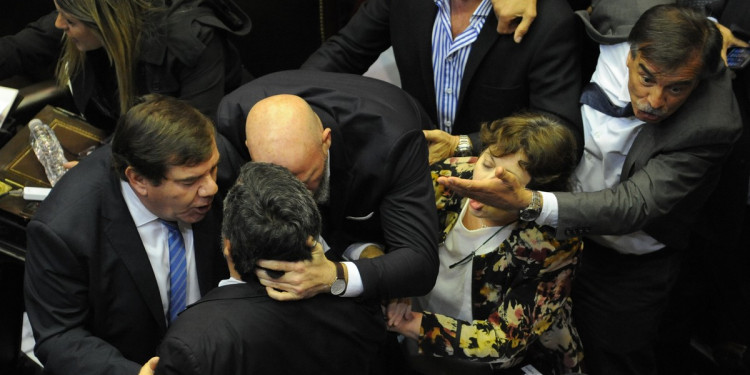 Recinto caliente: para Borsani, algunos diputados "fueron a voltear la sesión"