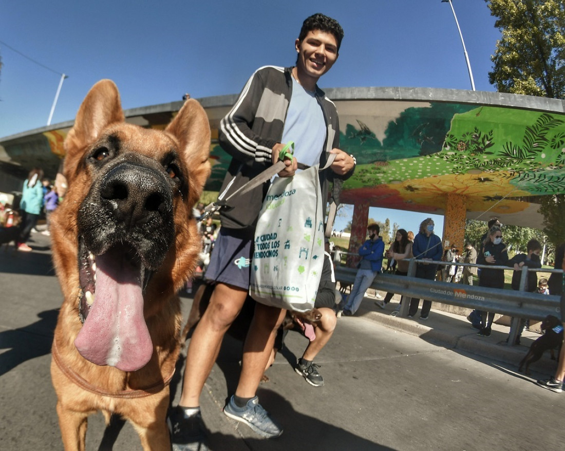 Cómo relacionarse con los animales domésticos después de los aprendizajes de la COVID-19