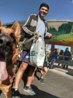 Cómo relacionarse con los animales domésticos después de los aprendizajes de la COVID-19