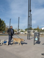 Levantar las heces de las mascotas es obligatorio, pero aún no se aplican multas