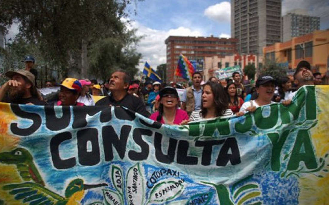 La lucha del Colectivo YASUnidos para proteger la biodiversidad de la explotación petrolera