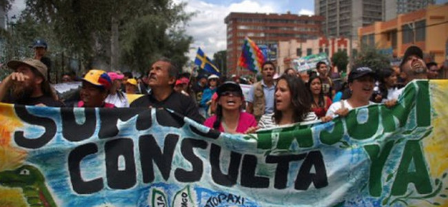 La lucha del Colectivo YASUnidos para proteger la biodiversidad de la explotación petrolera