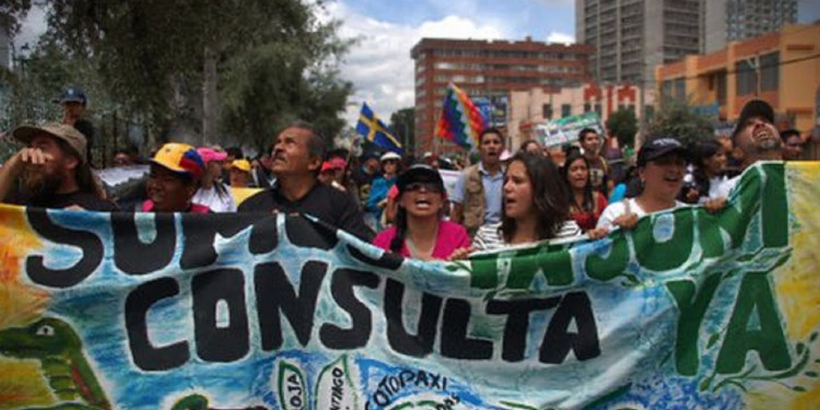 La lucha del Colectivo YASUnidos para proteger la biodiversidad de la explotación petrolera