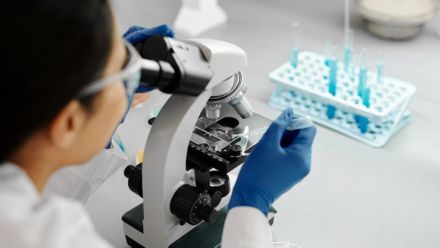 imagen Investigación para el cáncer: hay más de 3 mil nuevos tratamientos potenciales 