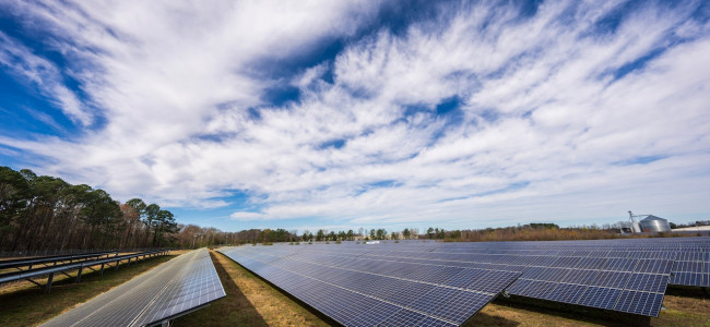 Si no hay más inversión, Argentina perderá puestos en la carrera de las energías renovables 