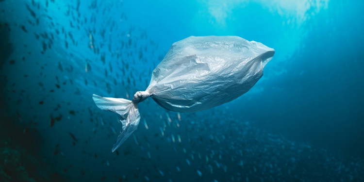 A 50 años del Día del Medio Ambiente, advierten que estamos frente a la última oportunidad de cambio