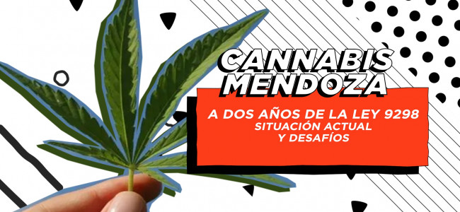 Qué falta para que la industria del cannabis medicinal avance en Mendoza