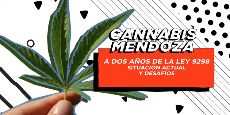 Qué falta para que la industria del cannabis medicinal avance en Mendoza