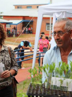 Plantines de crotalaria para combatir al Aedes Aegypti en Misiones