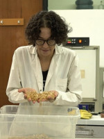 Dos investigaciones nacionales desarrollan materiales que reemplazarían al plástico