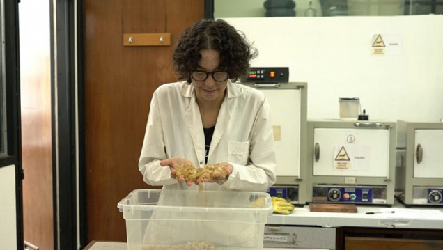 imagen Dos investigaciones nacionales desarrollan materiales que reemplazarían al plástico