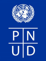 El informe de la PNUD