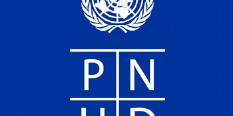 El informe de la PNUD