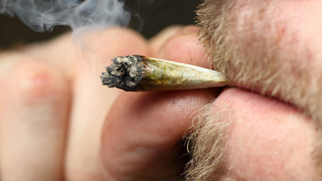 imagen Candidatos a favor y en contra de la legalización de la marihuana y el aborto