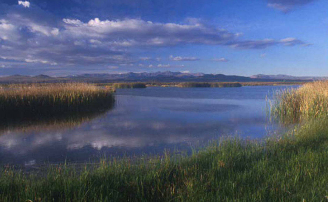 Llancanelo bajo la lupa