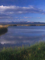 Llancanelo bajo la lupa