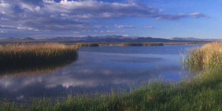 Llancanelo bajo la lupa