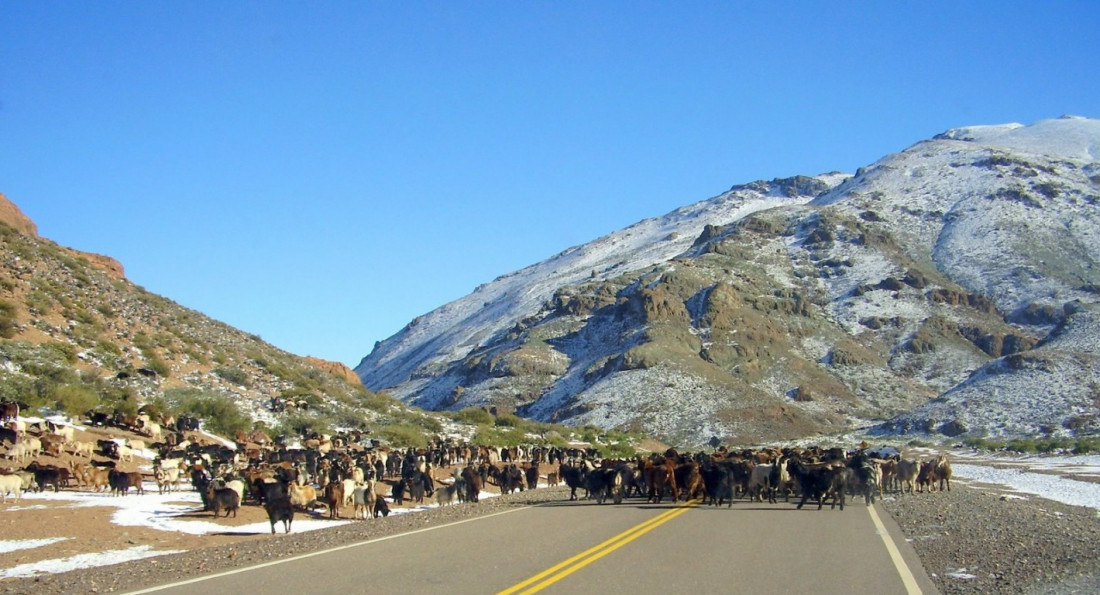 Cornejo, expectante por Portezuelo del Viento