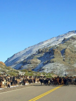 Cornejo, expectante por Portezuelo del Viento