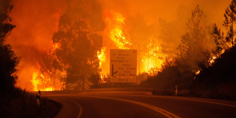Controlan todos los incendios del centro y norte de Portugal